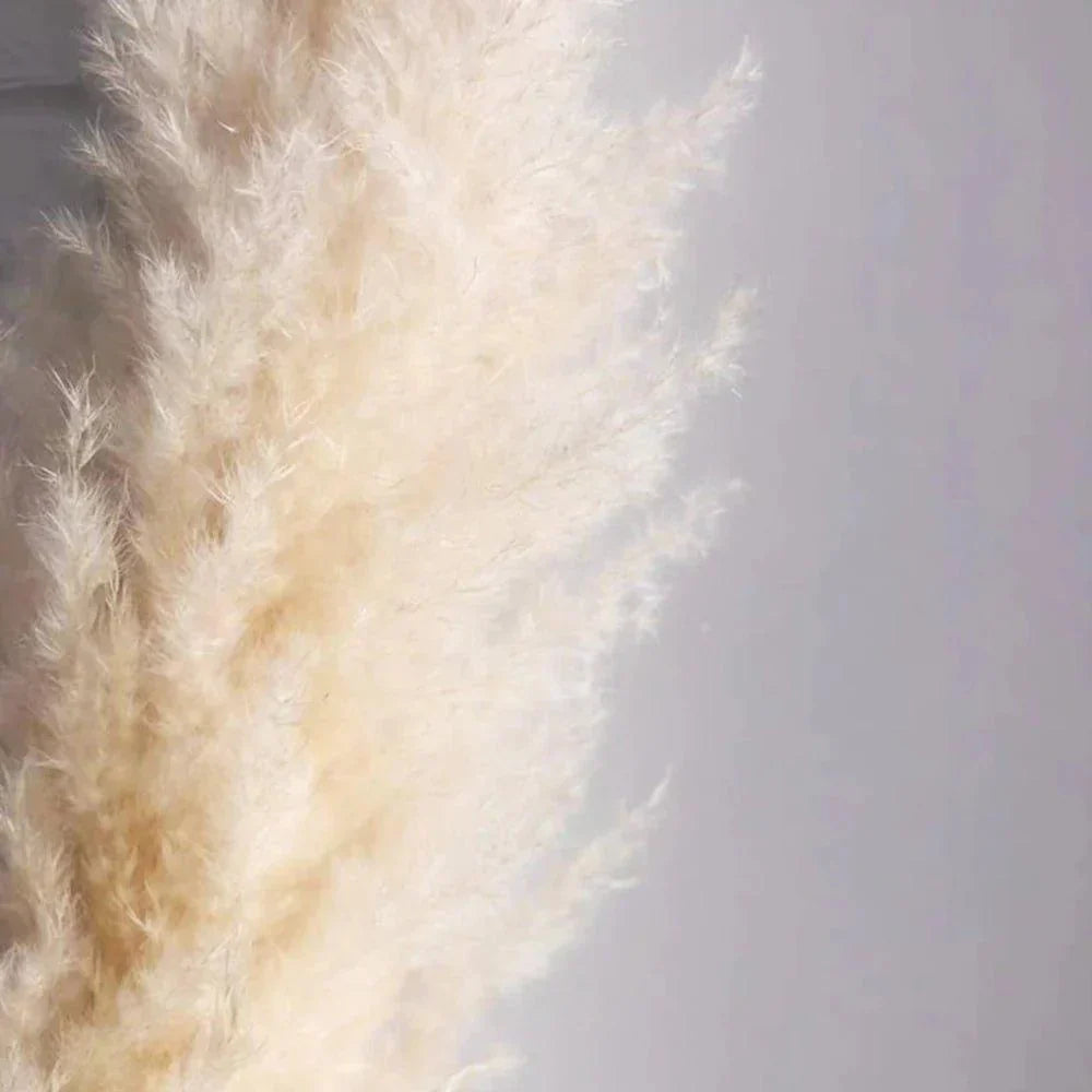 Natural Dried Flower Bouquet | 80 cm Pampas Grass with Fluffy Feathers | Elegant Home Decor for Boho Style 3