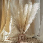 Natural Dried Flower Bouquet | 80 cm Pampas Grass with Fluffy Feathers | Elegant Home Decor for Boho Style 6