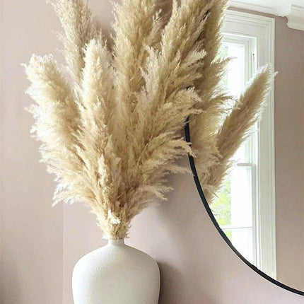 Natural Dried Flower Bouquet | 80 cm Pampas Grass with Fluffy Feathers | Elegant Home Decor for Boho Style 8
