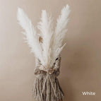 White / 5 pcs.