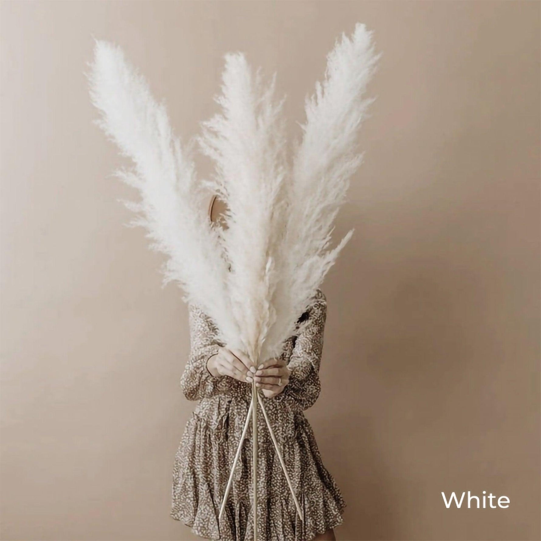 Natural Dried Flower Bouquet | 80 cm Pampas Grass with Fluffy Feathers | Elegant Home Decor for Boho Style 9