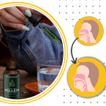 Natural Mullein Tincture | Herbal Tincture with Detoxifying Chlorophyll | Gentle Respiratory Support for Clear Airways 2