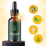 Natural Mullein Tincture | Herbal Tincture with Detoxifying Chlorophyll | Gentle Respiratory Support for Clear Airways 3