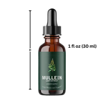 Natural Mullein Tincture | Herbal Tincture with Detoxifying Chlorophyll | Gentle Respiratory Support for Clear Airways 6