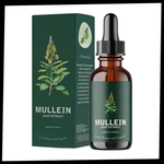 Natural Mullein Tincture | Herbal Tincture with Detoxifying Chlorophyll | Gentle Respiratory Support for Clear Airways 7