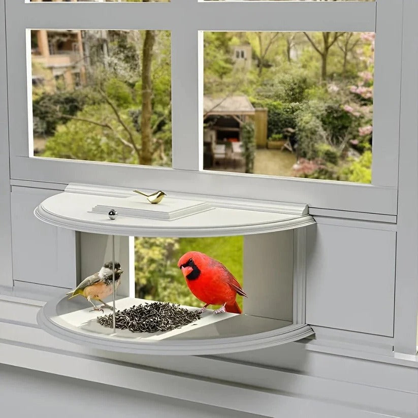 Nature's View | Transparent Window Bird Feeder with Easy Suction Cup Setup | Perfect for Bird Watching from Home 0