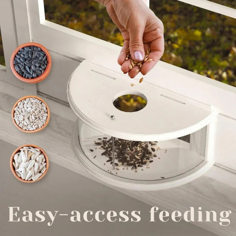 Nature's View | Transparent Window Bird Feeder with Easy Suction Cup Setup | Perfect for Bird Watching from Home 4