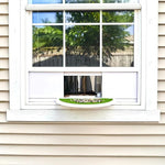 Nature's View | Transparent Window Bird Feeder with Easy Suction Cup Setup | Perfect for Bird Watching from Home 5