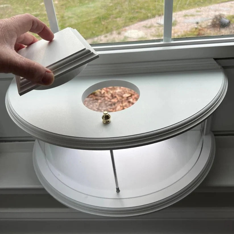 Nature's View | Transparent Window Bird Feeder with Easy Suction Cup Setup | Perfect for Bird Watching from Home 7