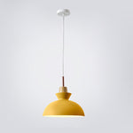 NordicOak | Elegant Modern Bell Cone Dome Pendant Light Fixture 15
