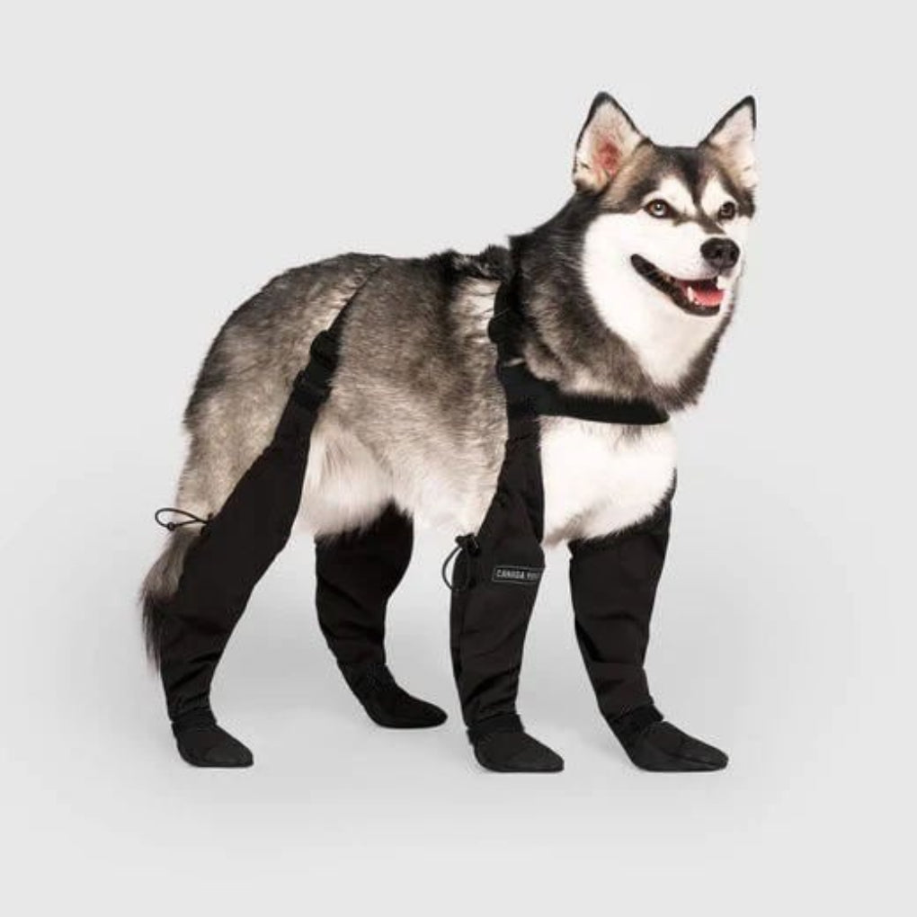PawGuard | Dog Leggings with All-Weather Protection & Easy On/Off | Comfortable Fit for Active Dogs 0