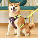 PawsControl | No Pull Dog Harness with Adjustable Straps | Comfortable Fit for Stress-Free Walks 3