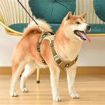 PawsControl | No Pull Dog Harness with Adjustable Straps | Comfortable Fit for Stress-Free Walks 4