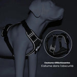 PawsControl | No Pull Dog Harness with Adjustable Straps | Comfortable Fit for Stress-Free Walks 6