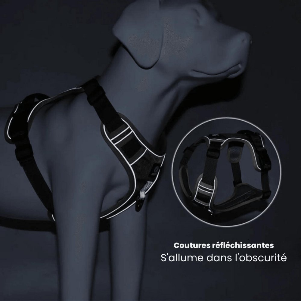 PawsControl | No Pull Dog Harness with Adjustable Straps | Comfortable Fit for Stress-Free Walks 6