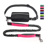 PawsFree Pro | Hands-Free Dog Leash with Adjustable Hip Belt | Enjoy Stress-Free Walks and Runs 12