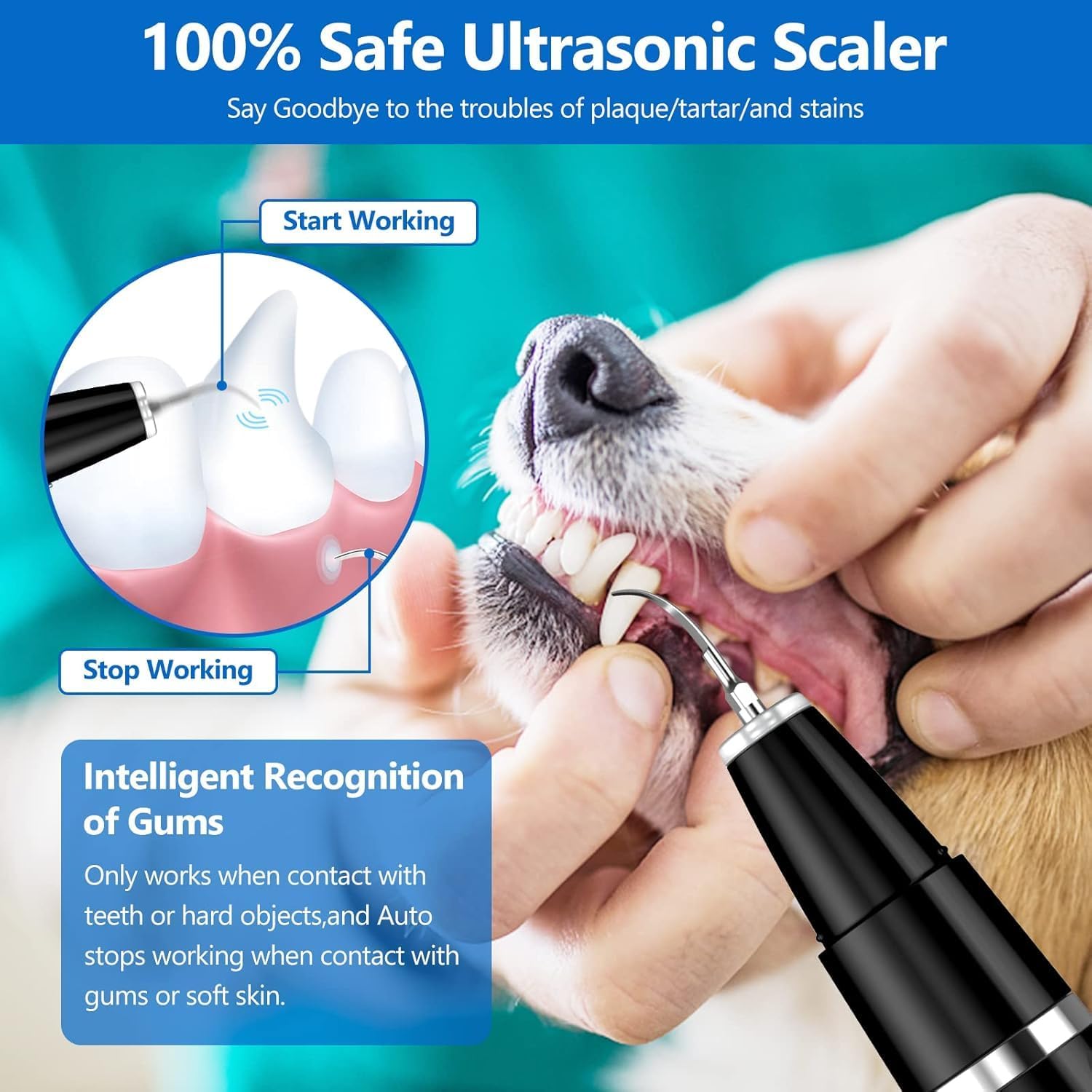 Pet Care Essentials | Dog Dental Cleaning Device with Ultrasonic Technology | Gentle Tartar Removal for Healthy Teeth 7