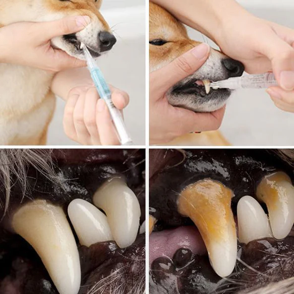 Pet Dental Care | Teeth Health Solution with Natural Ingredients | Effective Stain Removal for Optimal Oral Hygiene 0