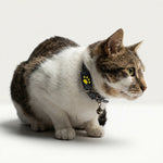 Pet Tracker | Compact Collar Tag with App Location & Long Battery Life | Lightweight Design for Everyday Use 3