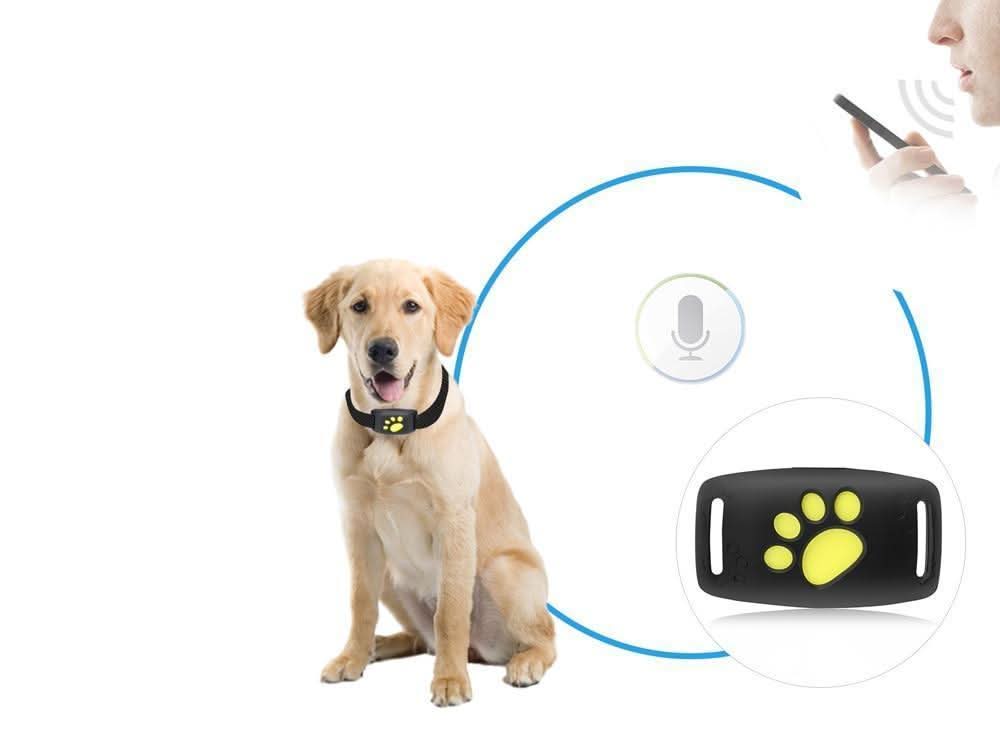 Pet Tracker | Compact Collar Tag with App Location & Long Battery Life | Lightweight Design for Everyday Use 5