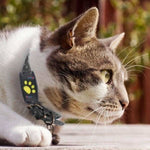Pet Tracker | Compact Collar Tag with App Location & Long Battery Life | Lightweight Design for Everyday Use 6