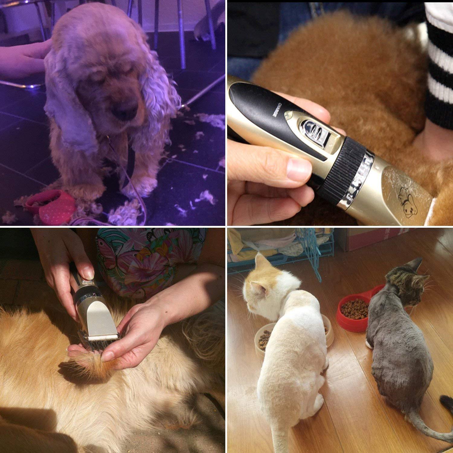 Professional Rechargeable Pet Clipper with Quiet Operation | Cordless Grooming Tool for Stress-Free Pet Care 0