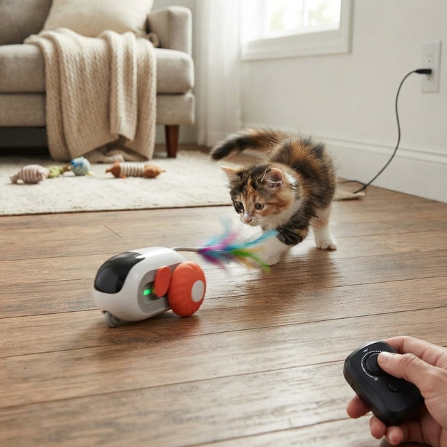 Interactive Cat Toys, Remote Control Cat Toy with USB Charging, Rechargeable Remote Control Toy for Indoor Cats