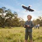 Remote Control Aircraft Eagle Shaped with Gyro Stabilization
