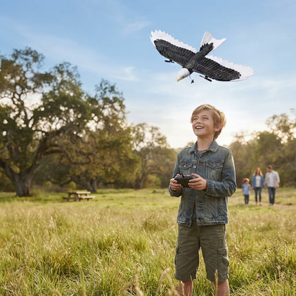 Remote Control Aircraft Eagle Shaped with Gyro Stabilization