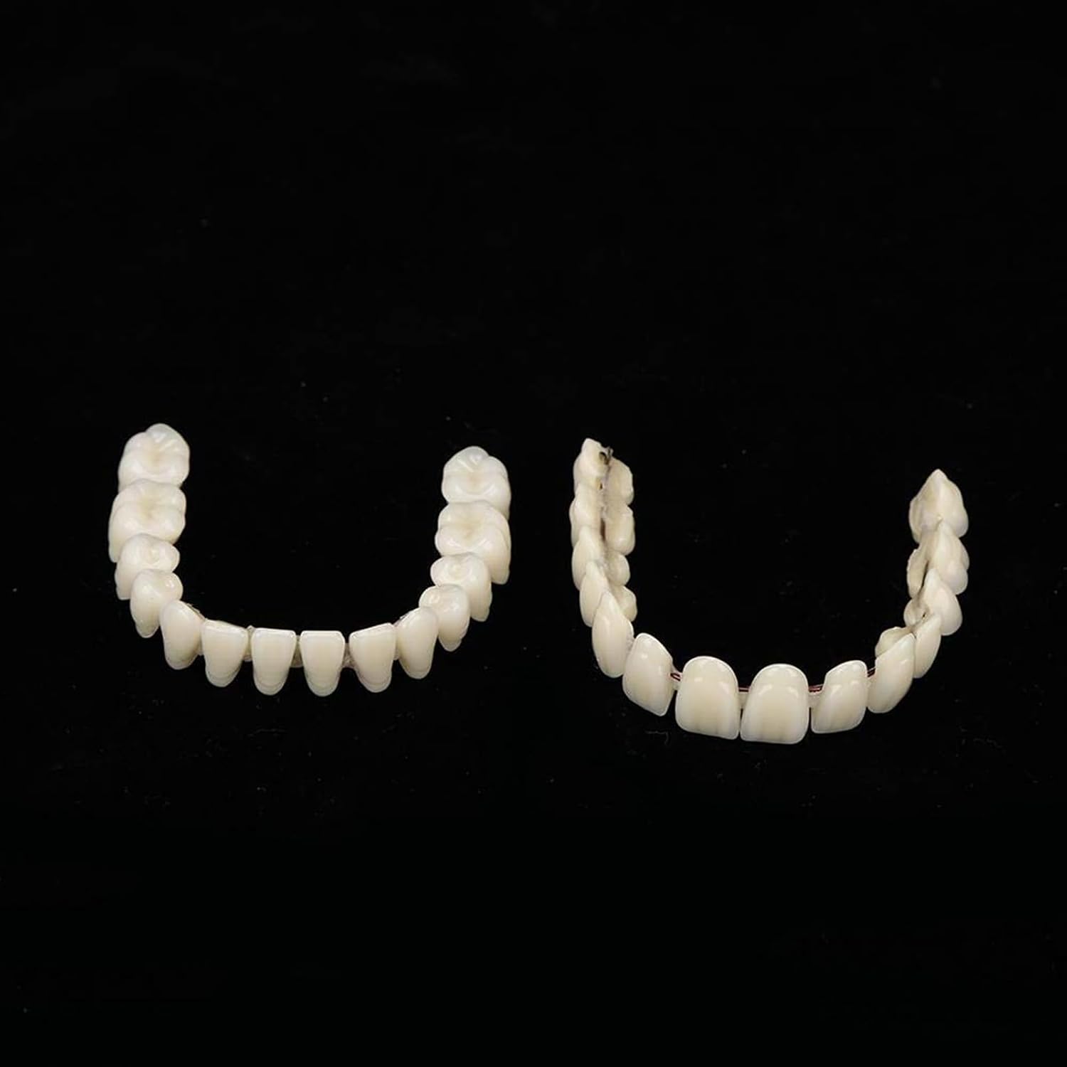 Resin Teeth Model Set for Teaching with Customizable Fit | Durable Dental Models for Oral Health Education 2