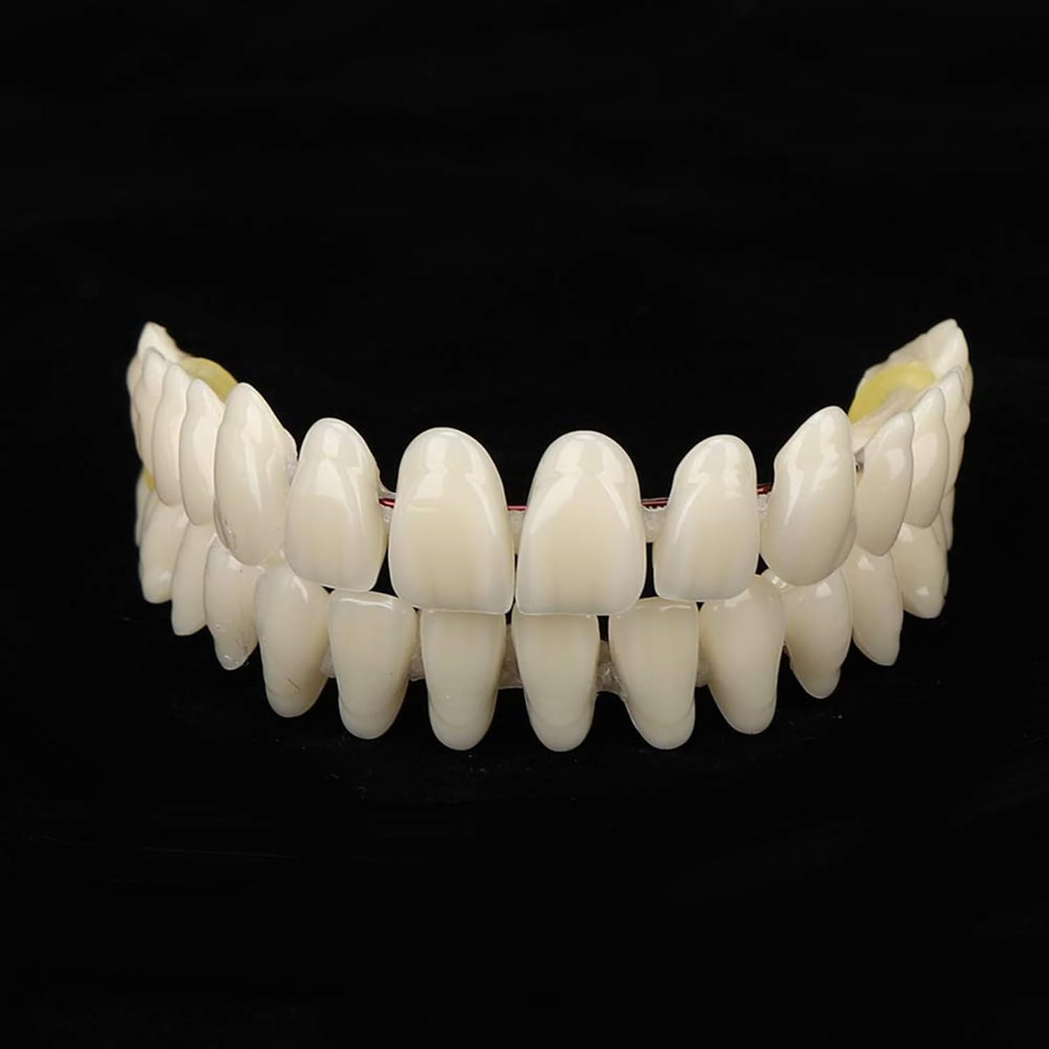 Resin Teeth Model Set for Teaching with Customizable Fit | Durable Dental Models for Oral Health Education 3