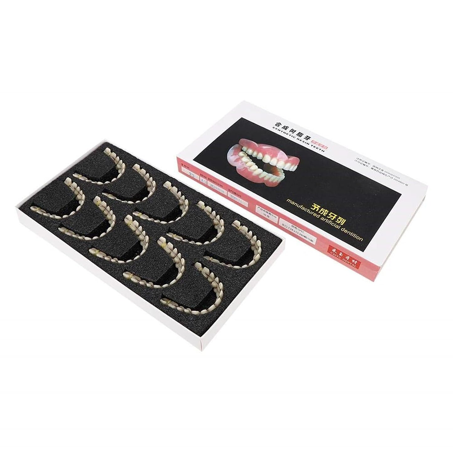 Resin Teeth Model Set for Teaching with Customizable Fit | Durable Dental Models for Oral Health Education 6