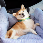 RoadTrip Pet Booster | Cozy Dog Bed with Adjustable Safety Features | Perfect for Travel and Daily Use 6