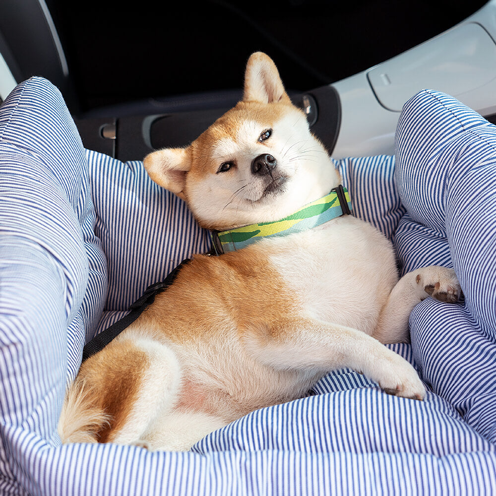 RoadTrip Pet Booster | Cozy Dog Bed with Adjustable Safety Features | Perfect for Travel and Daily Use 6