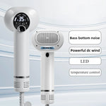 Tuzwa Professional Pet Hair Dryer with Hot & Cold Air – DC Motor Anion Dog Grooming Dryer for Fast Coat Drying, 210–240V