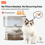 Tuzwa Automatic Cat Water Dispenser – Timed Pet Water Fountain with Fresh Water Flow & Wastewater Separation for Cats & Small Dogs