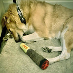 Tuzwa Dog Chew Toy – Interactive Soft Fleece Plush Squeaky Cigar Toy for Small & Medium Dogs