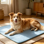 Tuzwa Extra Large Dog Cooling Mat – Breathable XL Pet Bed Mat, Machine Washable Summer Cooling Bed for Large Dogs & All Breeds