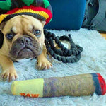 Tuzwa Dog Chew Toy – Interactive Soft Fleece Plush Squeaky Cigar Toy for Small & Medium Dogs