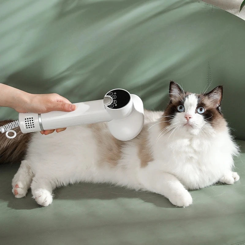 Tuzwa Professional Pet Hair Dryer with Hot & Cold Air – DC Motor Anion Dog Grooming Dryer for Fast Coat Drying, 210–240V