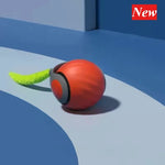 Tuzwa Interactive Cat Toy Ball | Electric Automatic Feather Teaser & Chase Toy for Active Cats