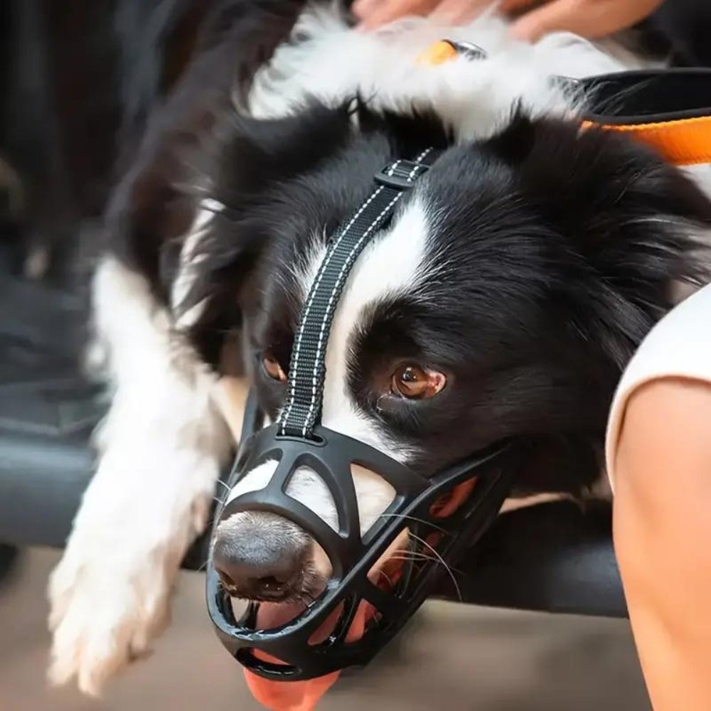 SafeBark | Dog Muzzle with Breathable Fabric & Comfortable Fit | Anti-Bite and Anti-Bark Solution 0