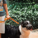 SafeBark | Dog Muzzle with Breathable Fabric & Comfortable Fit | Anti-Bite and Anti-Bark Solution 7