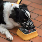 SafeBark | Dog Muzzle with Breathable Fabric & Comfortable Fit | Anti-Bite and Anti-Bark Solution 8