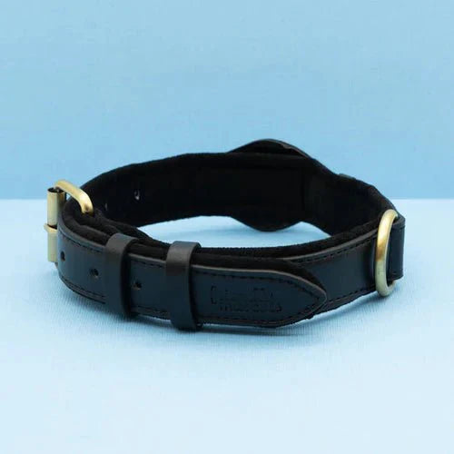 SafeTrack | Dog Collar with Eco-Friendly Leather & Waterproof Design | Comfortable Tracking for Your Pet 6