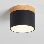 Scandinavian Macaron LED Ceiling Light with 3-Color Switchable Feature | Compact Design for Ambient Illumination 0