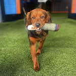 Tuzwa Dog Chew Toy – Interactive Soft Fleece Plush Squeaky Cigar Toy for Small & Medium Dogs