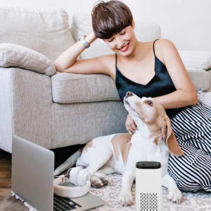 HEPA Air Purifier for Pets, Allergen Air Purifier with Activated Carbon Filter, Quiet Home Air Purifier for Bedroom
