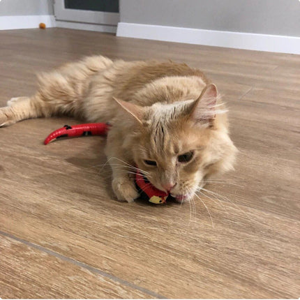 Interactive Cat Toys That Move, Rechargeable Robotic Cat Toy – image 5