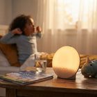 Sunrise Alarm Clock with Wake Up Light, Digital Alarm Clock with FM Radio, Dual Alarms and 7 Colour Night Light